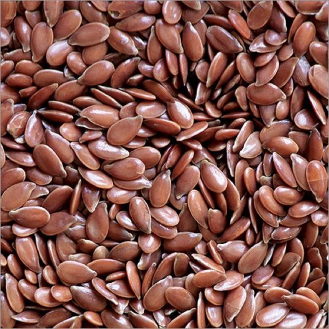 Flax Seeds (Alsi)